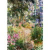 Clematis