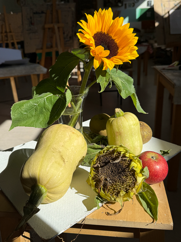 Cursus tekenen / schilderen voor gevorderden maandagmiddag