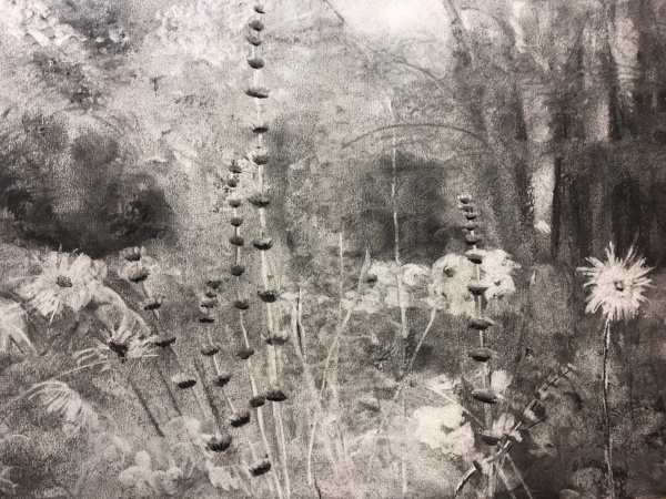 Cursus tekenen / schilderen voor gevorderden maandagmiddag